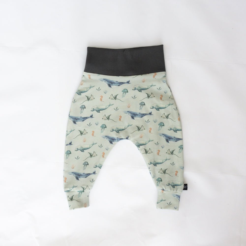 Harems - Whales | Organic Cotton - Wildlings Children's Apparel